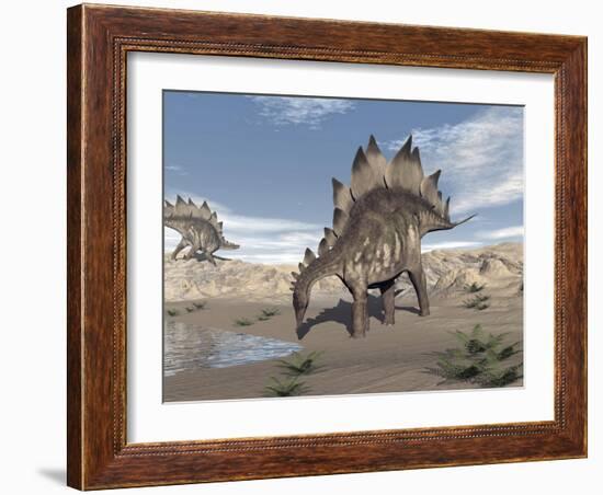 Stegosaurus Dinosaur Drinking Water in the Desert-null-Framed Art Print