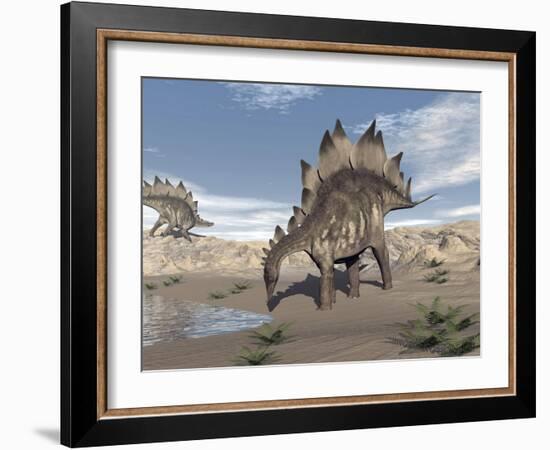 Stegosaurus Dinosaur Drinking Water in the Desert-null-Framed Art Print