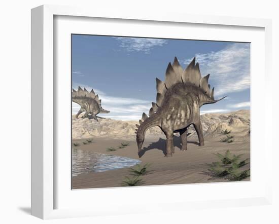 Stegosaurus Dinosaur Drinking Water in the Desert-null-Framed Art Print