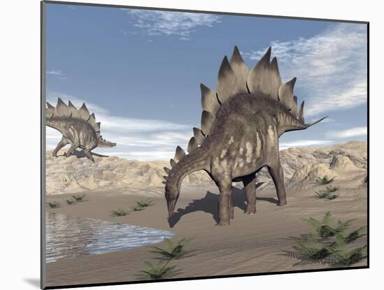 Stegosaurus Dinosaur Drinking Water in the Desert-null-Mounted Art Print