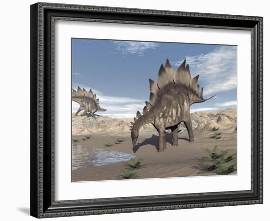 Stegosaurus Dinosaur Drinking Water in the Desert-null-Framed Art Print