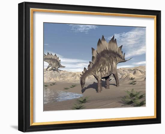 Stegosaurus Dinosaur Drinking Water in the Desert-null-Framed Art Print