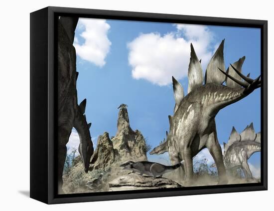 Stegosaurus Dinosaur-Jose Antonio-Framed Premier Image Canvas