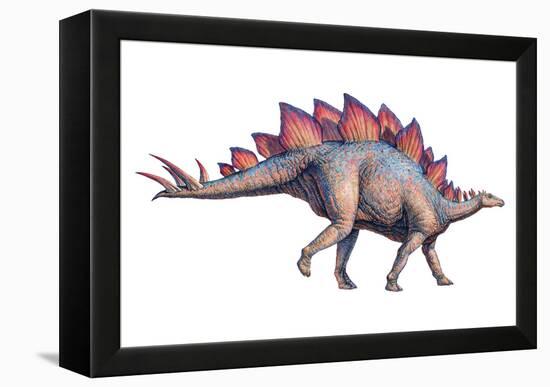 Stegosaurus Dinosaur-Joe Tucciarone-Framed Premier Image Canvas