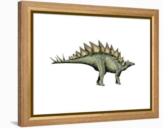 Stegosaurus Dinosaur-null-Framed Stretched Canvas