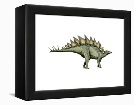 Stegosaurus Dinosaur-null-Framed Stretched Canvas