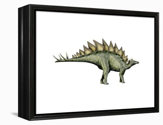 Stegosaurus Dinosaur-null-Framed Stretched Canvas