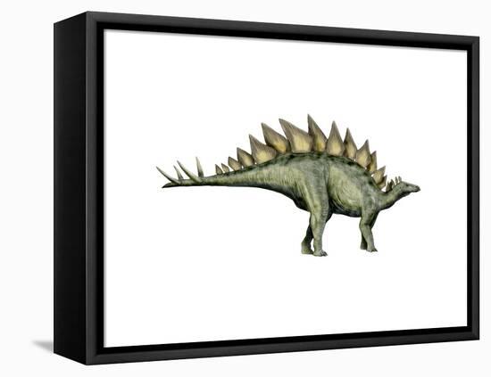 Stegosaurus Dinosaur-null-Framed Stretched Canvas