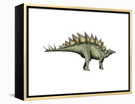 Stegosaurus Dinosaur-null-Framed Stretched Canvas