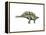 Stegosaurus Dinosaur-null-Framed Stretched Canvas