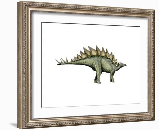 Stegosaurus Dinosaur-null-Framed Art Print