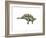 Stegosaurus Dinosaur-null-Framed Art Print