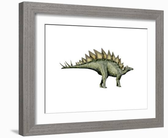 Stegosaurus Dinosaur-null-Framed Art Print