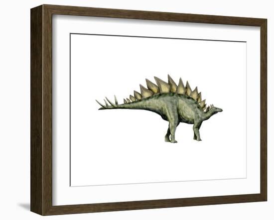 Stegosaurus Dinosaur-null-Framed Art Print