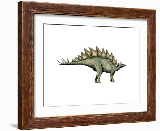 Stegosaurus Dinosaur-null-Framed Art Print