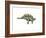 Stegosaurus Dinosaur-null-Framed Art Print