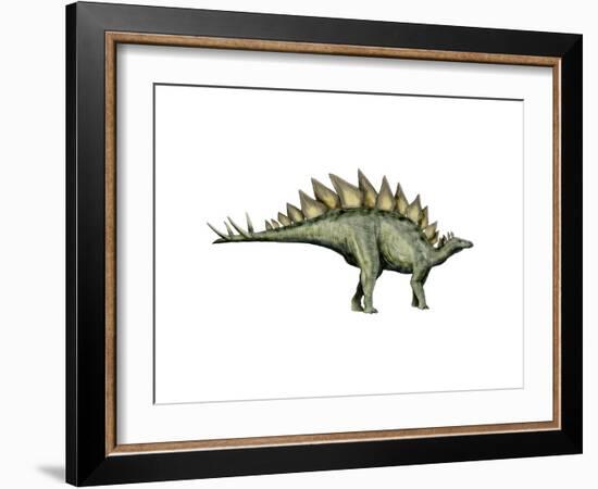 Stegosaurus Dinosaur-null-Framed Art Print