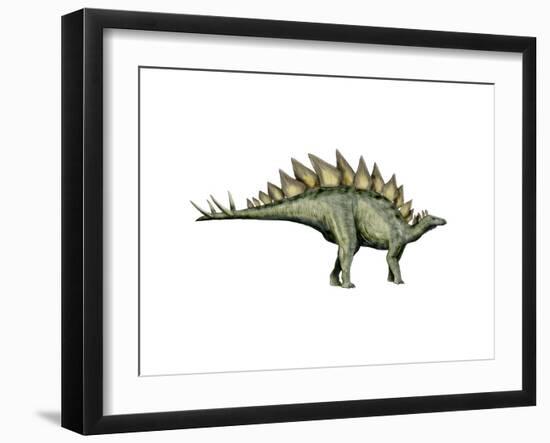 Stegosaurus Dinosaur-null-Framed Art Print