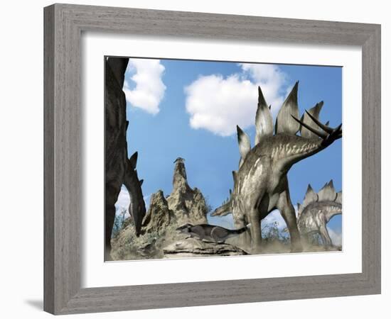 Stegosaurus Dinosaur-Jose Antonio-Framed Photographic Print