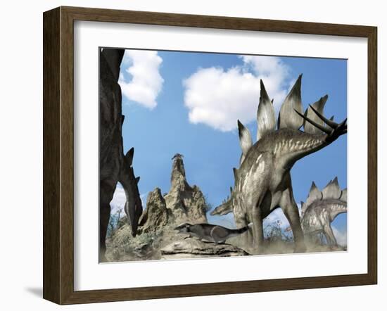 Stegosaurus Dinosaur-Jose Antonio-Framed Photographic Print