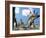 Stegosaurus Dinosaur-Jose Antonio-Framed Photographic Print