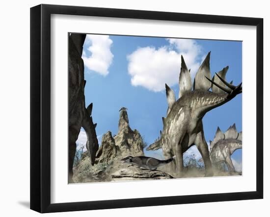 Stegosaurus Dinosaur-Jose Antonio-Framed Photographic Print