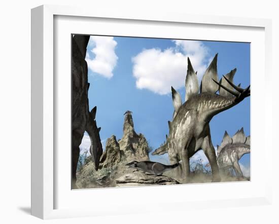 Stegosaurus Dinosaur-Jose Antonio-Framed Photographic Print