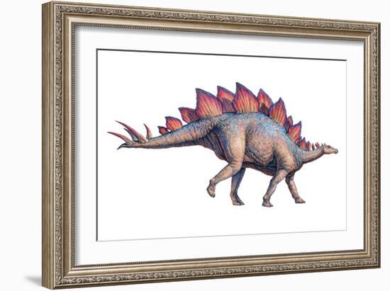 Stegosaurus Dinosaur-Joe Tucciarone-Framed Photographic Print