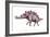 Stegosaurus Dinosaur-Joe Tucciarone-Framed Photographic Print