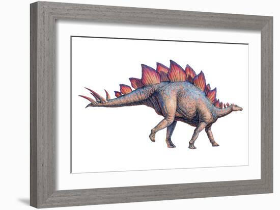 Stegosaurus Dinosaur-Joe Tucciarone-Framed Photographic Print