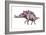 Stegosaurus Dinosaur-Joe Tucciarone-Framed Photographic Print