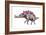 Stegosaurus Dinosaur-Joe Tucciarone-Framed Photographic Print