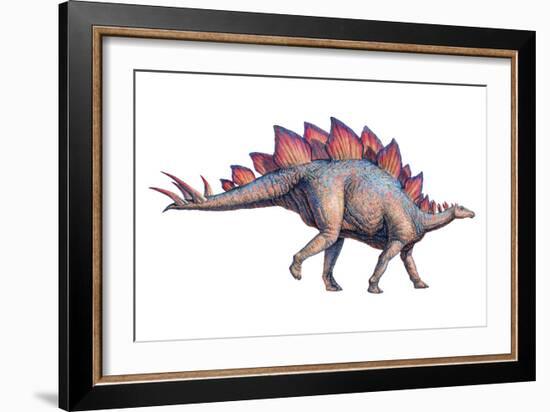 Stegosaurus Dinosaur-Joe Tucciarone-Framed Photographic Print