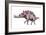 Stegosaurus Dinosaur-Joe Tucciarone-Framed Photographic Print