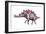 Stegosaurus Dinosaur-Joe Tucciarone-Framed Photographic Print