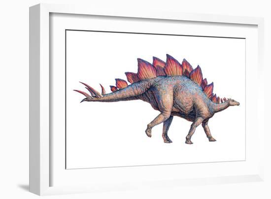 Stegosaurus Dinosaur-Joe Tucciarone-Framed Photographic Print