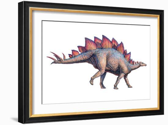 Stegosaurus Dinosaur-Joe Tucciarone-Framed Photographic Print