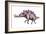Stegosaurus Dinosaur-Joe Tucciarone-Framed Photographic Print