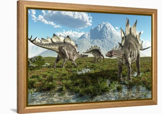 Stegosaurus Dinosaurs, Artwork-Roger Harris-Framed Premier Image Canvas