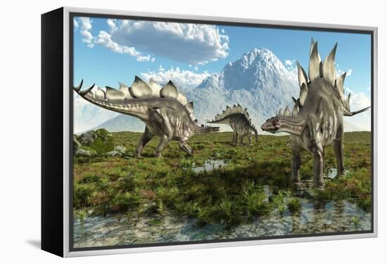 Stegosaurus Dinosaurs, Artwork-Roger Harris-Framed Premier Image Canvas