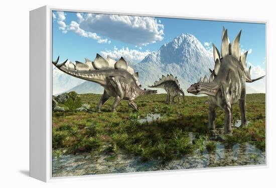 Stegosaurus Dinosaurs, Artwork-Roger Harris-Framed Premier Image Canvas