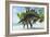 Stegosaurus Dinosaurs Drinking from a Jurassic Lake-null-Framed Art Print