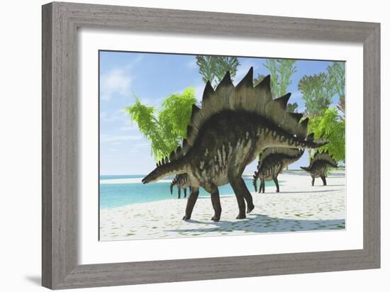 Stegosaurus Dinosaurs Drinking from a Jurassic Lake-null-Framed Art Print