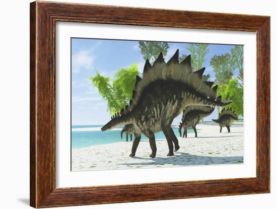 Stegosaurus Dinosaurs Drinking from a Jurassic Lake-null-Framed Art Print