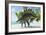 Stegosaurus Dinosaurs Drinking from a Jurassic Lake-null-Framed Art Print