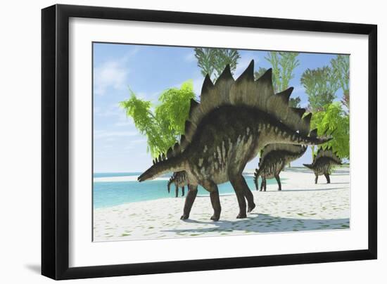 Stegosaurus Dinosaurs Drinking from a Jurassic Lake-null-Framed Art Print