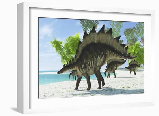 Stegosaurus Dinosaurs Drinking from a Jurassic Lake-null-Framed Art Print