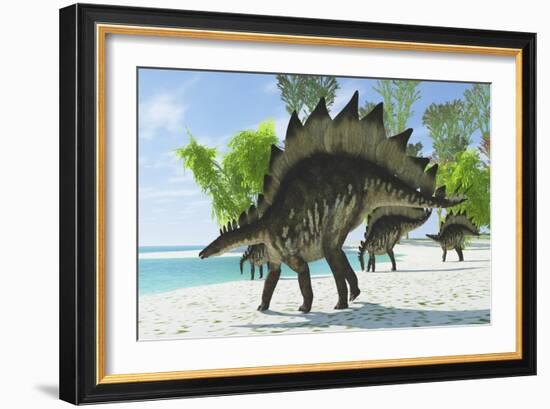 Stegosaurus Dinosaurs Drinking from a Jurassic Lake-null-Framed Art Print