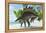 Stegosaurus Dinosaurs Drinking from a Jurassic Lake-null-Framed Stretched Canvas