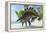 Stegosaurus Dinosaurs Drinking from a Jurassic Lake-null-Framed Stretched Canvas